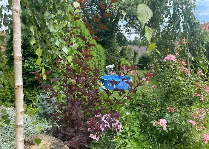 Pro 2 Rodiny Knezeves (Blansko)